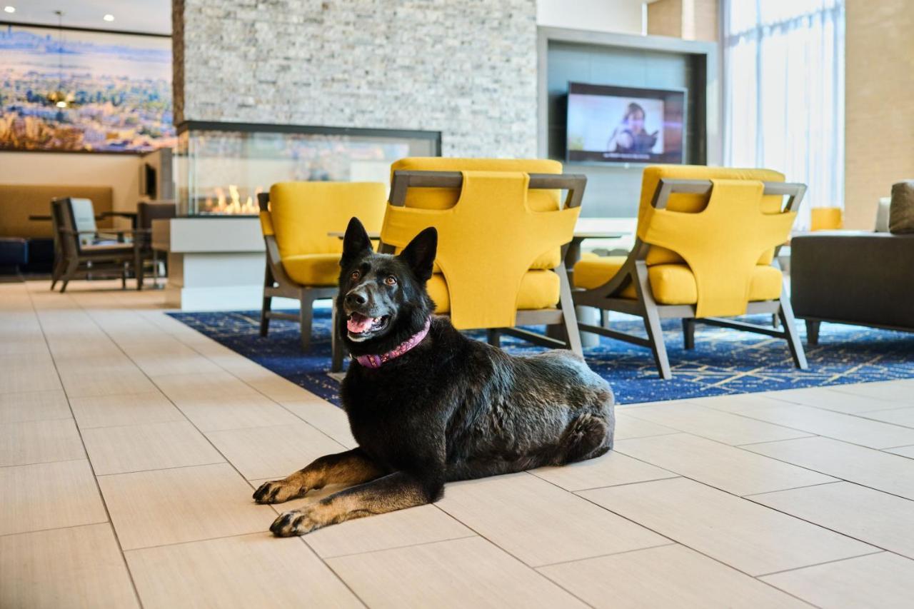 Residence Inn By Marriott Berkeley Eksteriør bilde
